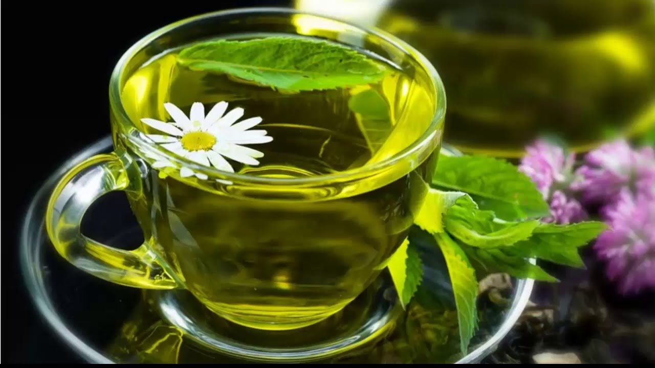 Влияние зеленого чая на организм: его особенности и достоинства