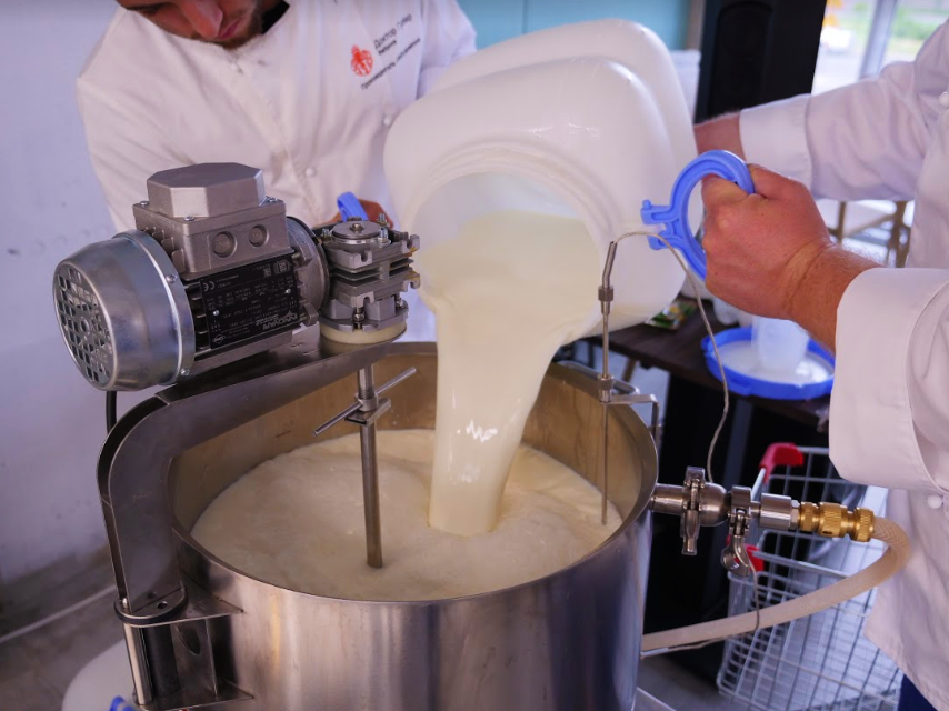 Пастеризация молока и особенности такой процедуры